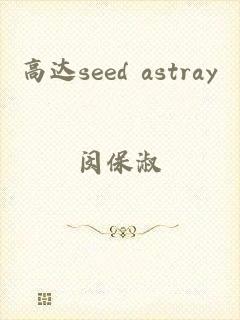 高达seed astray